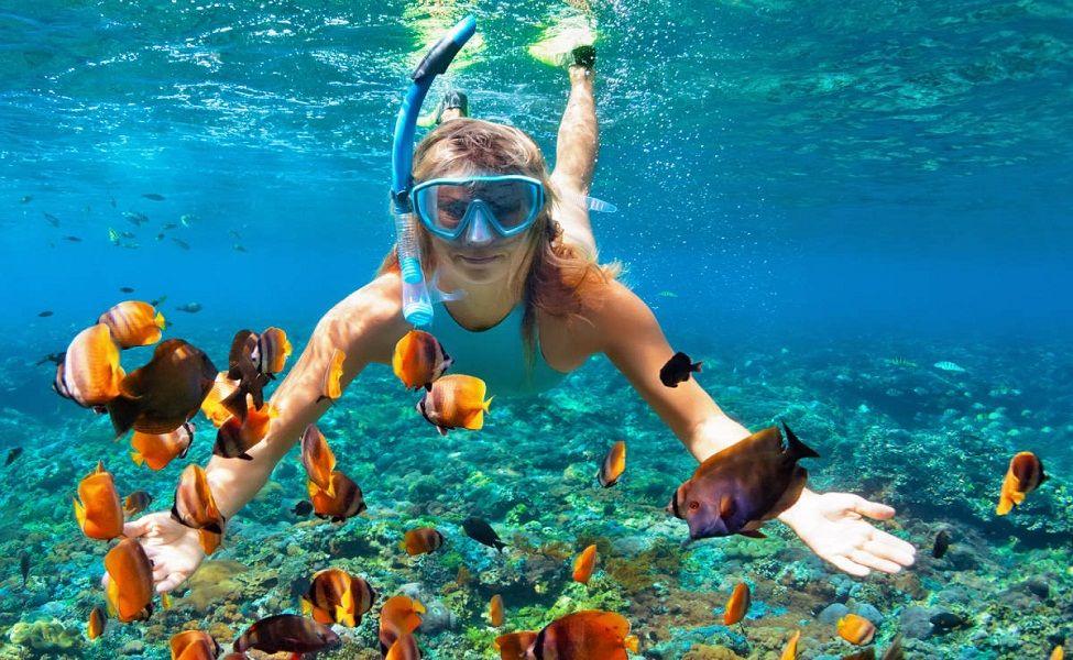 Elephant Beach Snorkelling