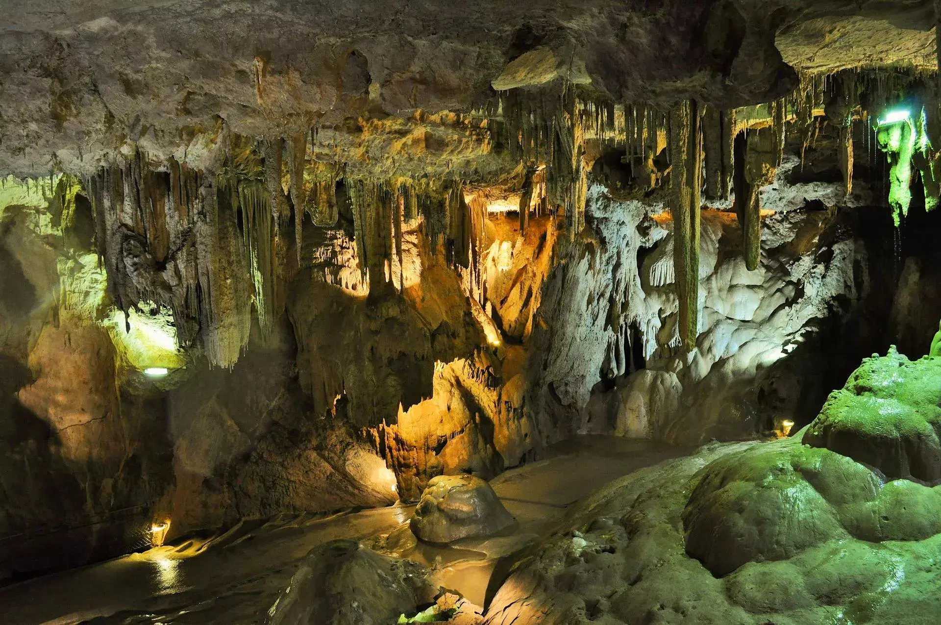 Alfred Caves: