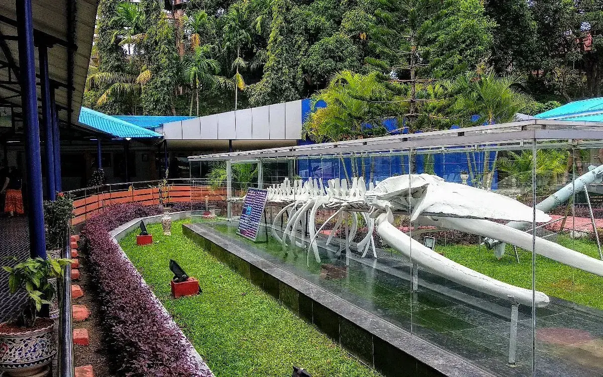 Samudrika Marine Museum: