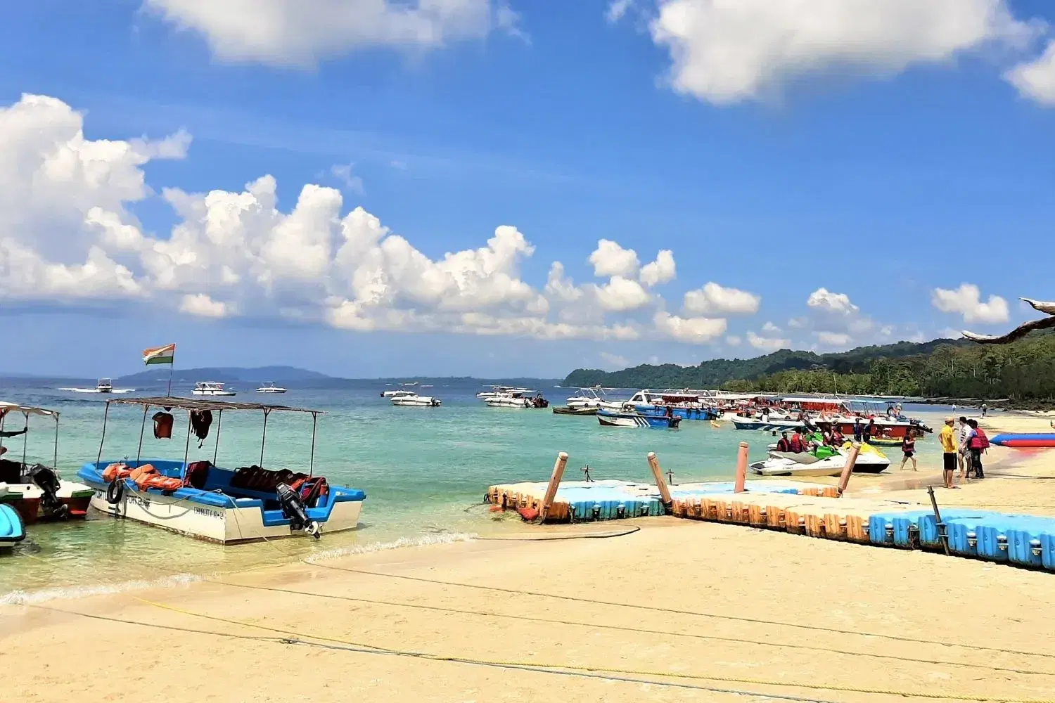Elephant Beach: