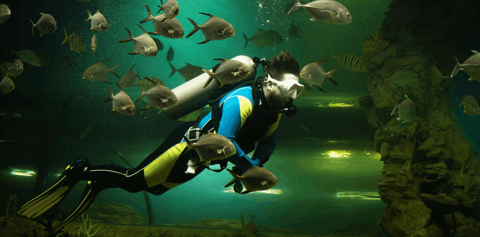 Scuba Diving activity