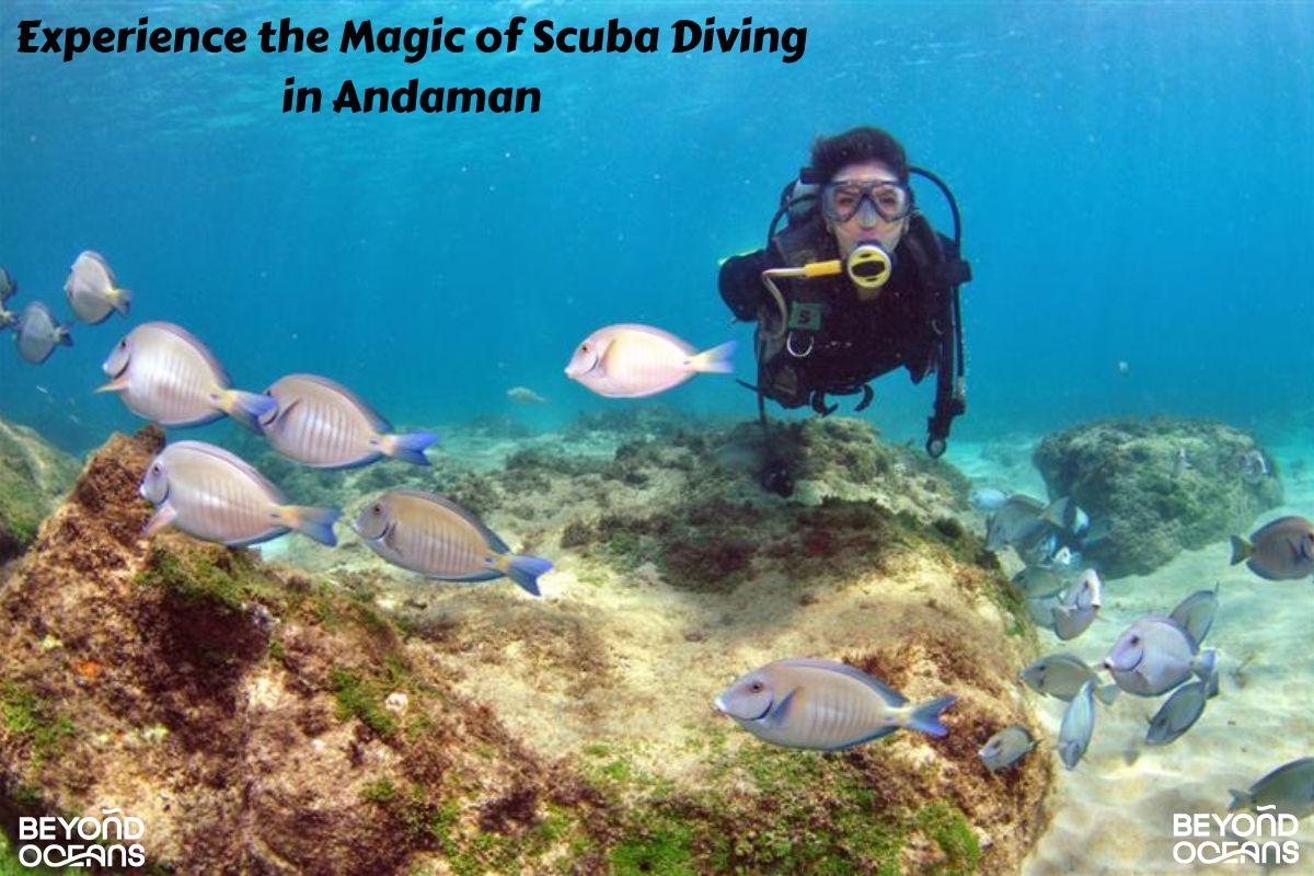 Scuba Diving in Andaman