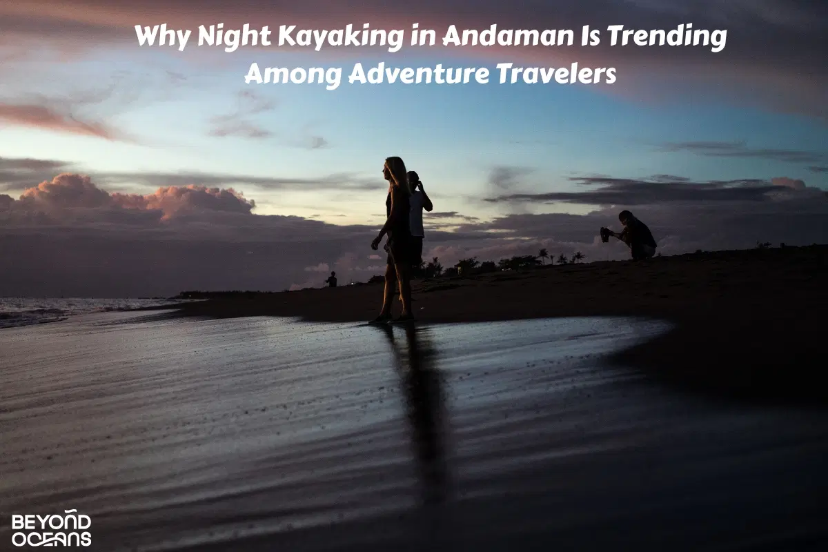 night kayaking in andaman