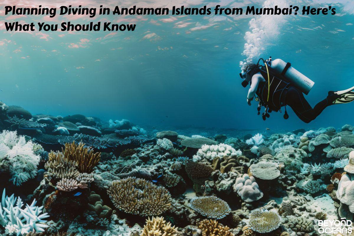 Diving in Andaman Islands