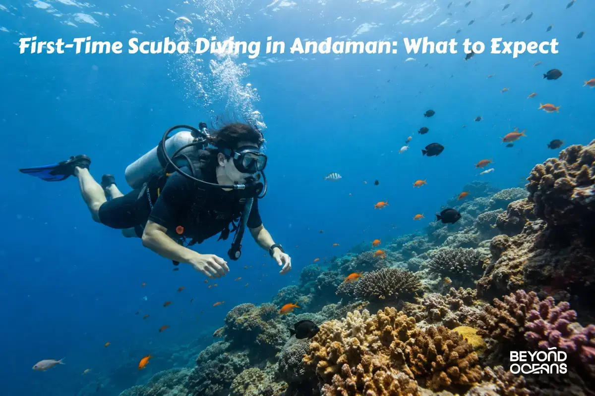 best scuba diving in Andaman